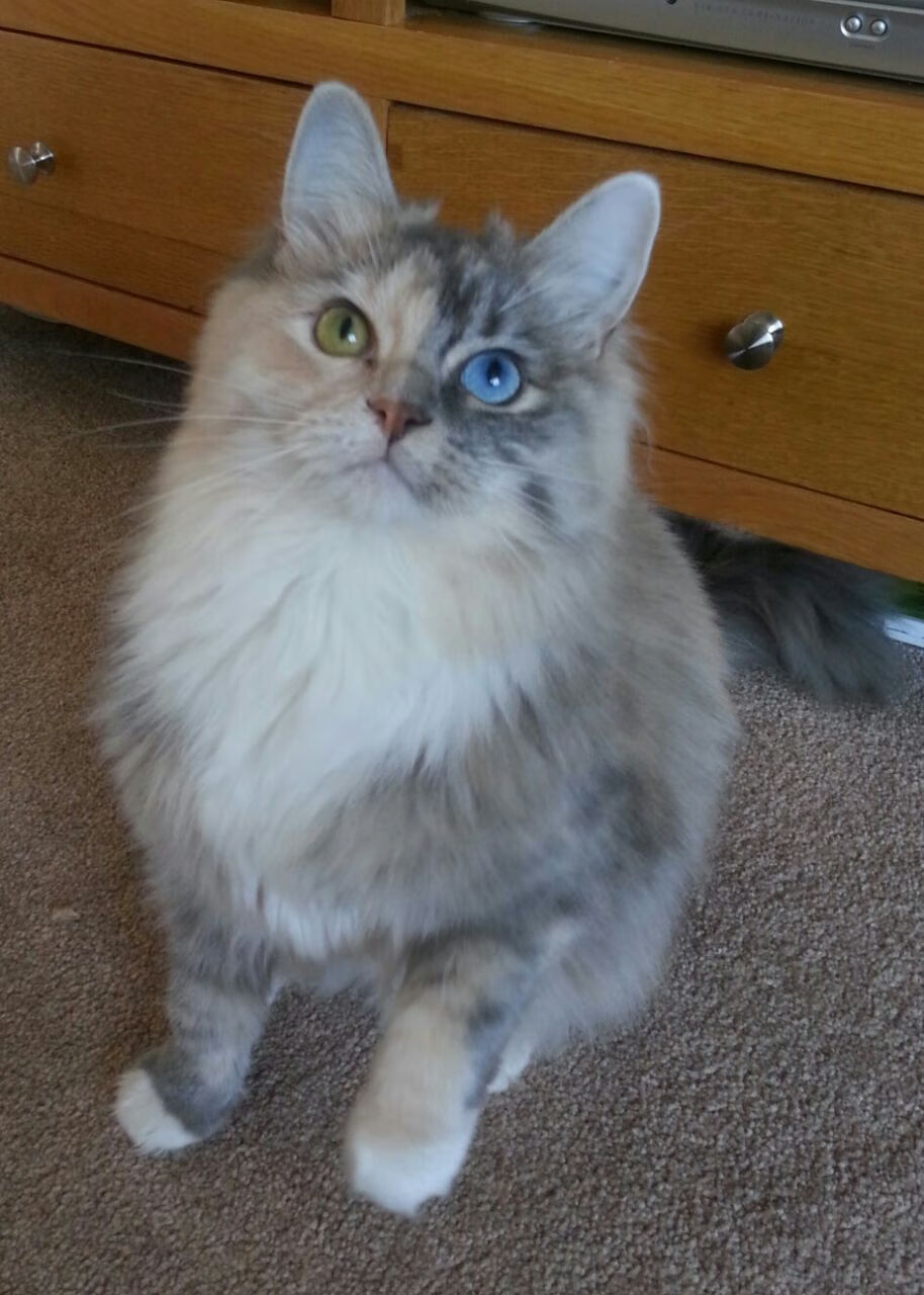 青少年体育运动健康管理,青少年体育健康包