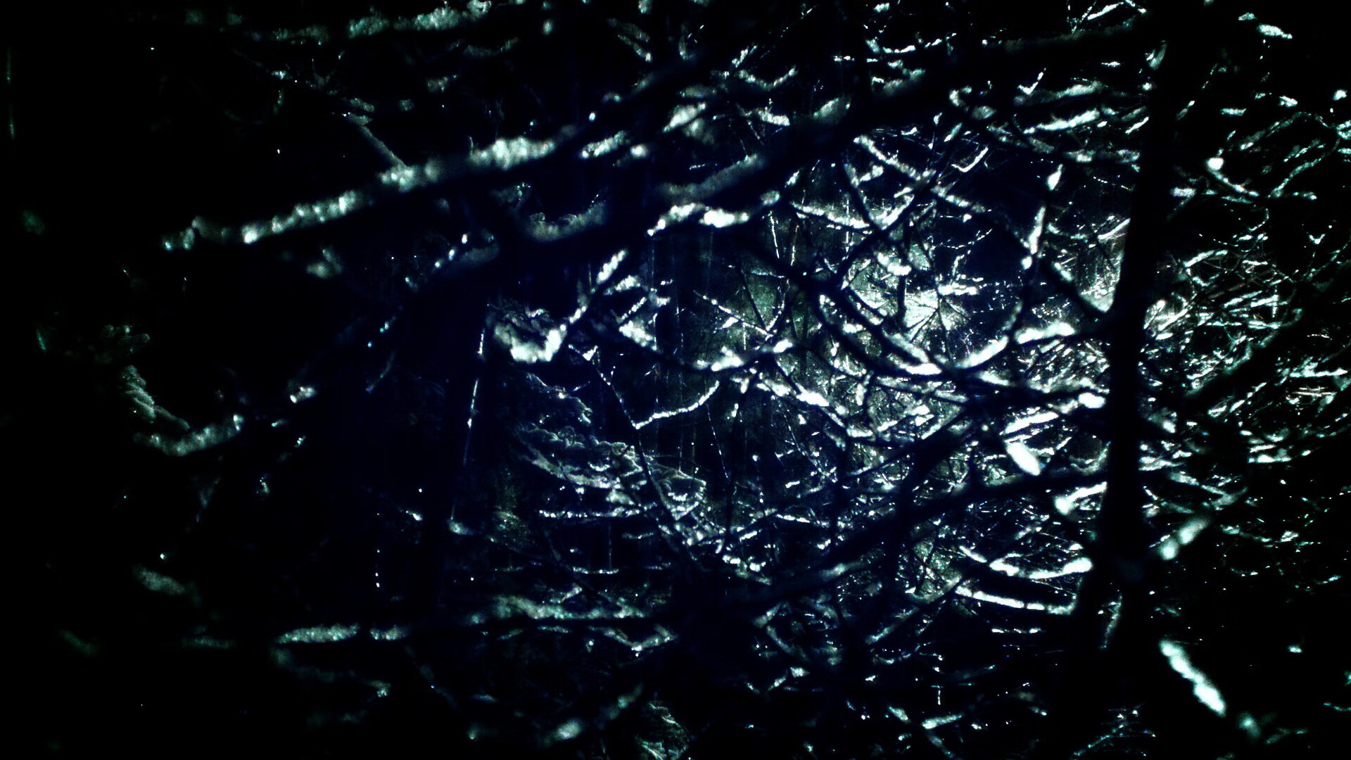 青少年体育赛事活跃促进健康成长，青少年体育赛事体系